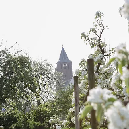 Pipowagen Eldikse Blauwe