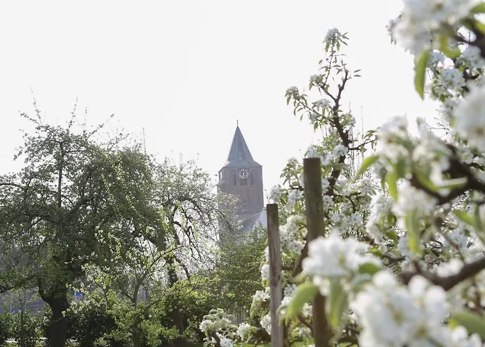 Pipowagen Eldikse Blauwe