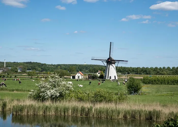 Pipowagen Eldikse Blauwe *